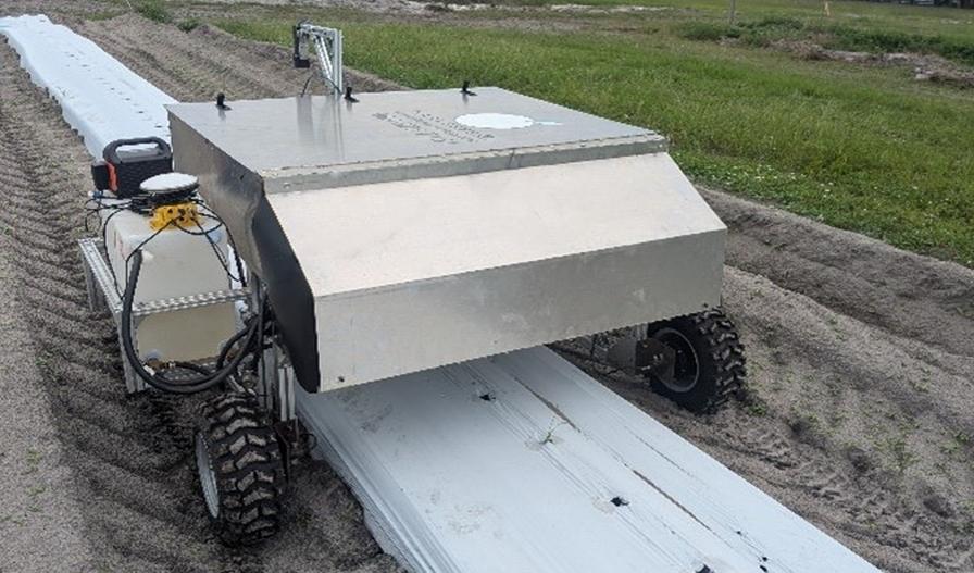 Ai Behind Smarter Way To Control Weeds In Vegetables Growing Produce