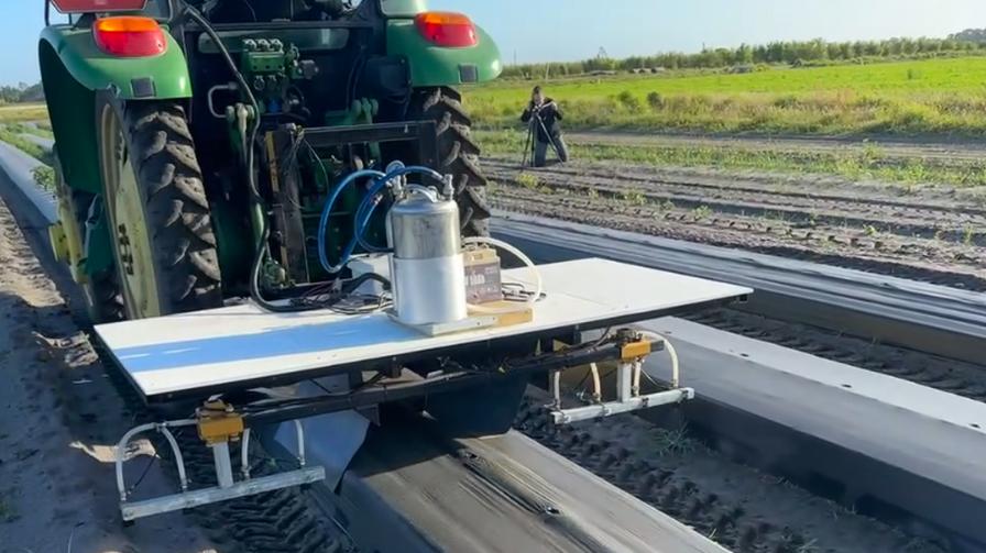 Targeted Weed Control Using Ai Can Save Tomato Growers Big Growing